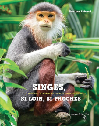 Singes, si loin, si proches. 25 merveilles du monde des singes et autres étonnements