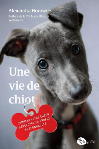 Une vie de chiot. Comment votre chien développe sa propre personnalité
