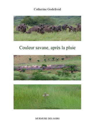Couleur savane, apres la pluie