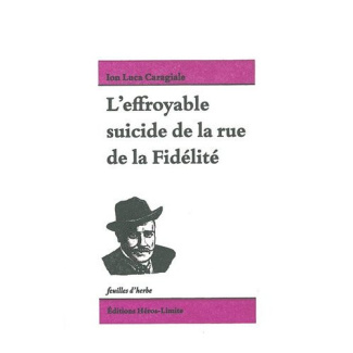 L'effroyable suicide de la rue de la Fidélité