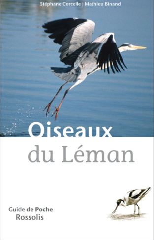 OISEAUX DU LEMAN