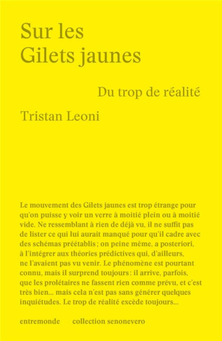 Sur les Gilets Jaunes. Du trop de réalité