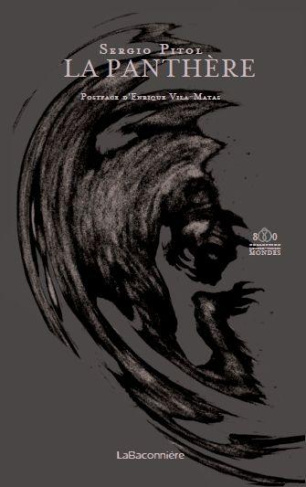 La panthère et autres contes