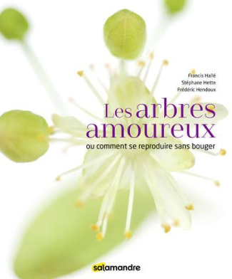 Les arbres amoureux. Ou comment se reproduire sans bouger