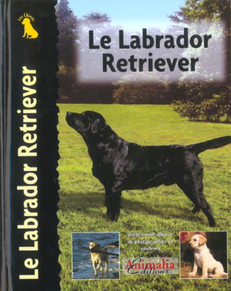Le Labrador Retriever