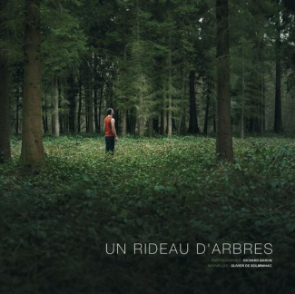 Un rideau d'arbres