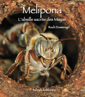 Mélipona. L'Abeille sacrée des Mayas