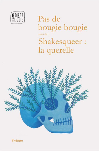 Pas de bougie bougie. Suivi de Shakesqueer : la querelle