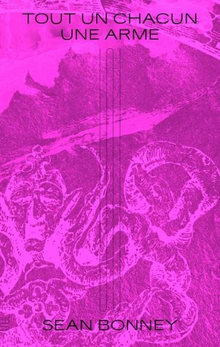 Tout un chacun une arme. Lettres contre le firmament et autres textes