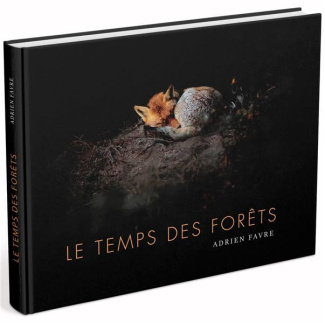 Le temps des forêts