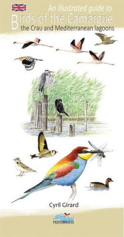 An illustrated guide to birds of the Camargue the crau and Mediterranean lagoons