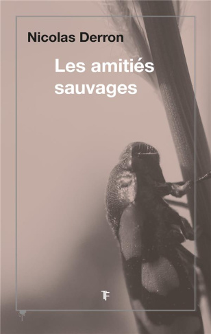 Les amitiés sauvages