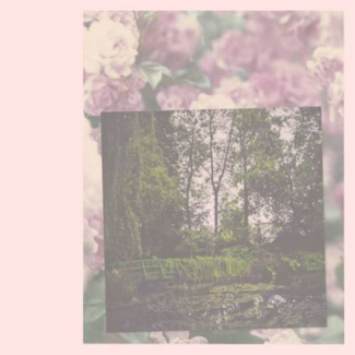 The Giverny Polaroids. Civil Dawn