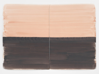 SILVIA BACHLI : QUE L'UN SOIT DEVENU L'AUTRE. QUI EST QUI ? - CAT. KUNST MUSEUM WINTERTHUR