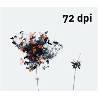 MIRON ZOWNIR RADICAL EYE /ANGLAIS/ALLEMAND