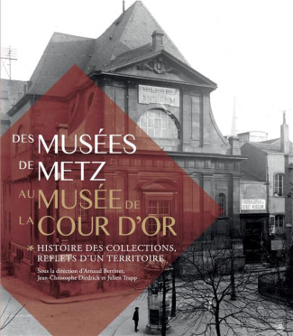 Des musées de Metz au musée de la cour d'or. Histoire des collections, reflets d'un territoire