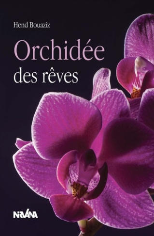 Orchidée des rêves