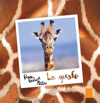 Peau, poils et pattes : La girafe