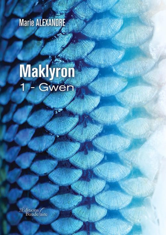 Maklyron Tome 1 : Gwen