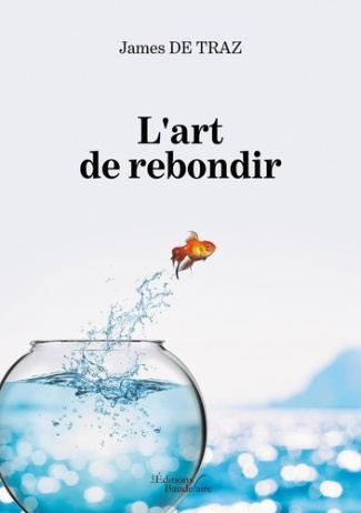 L'art de rebondir