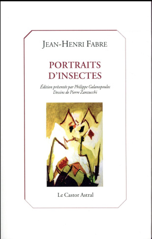 Portraits d'insectes