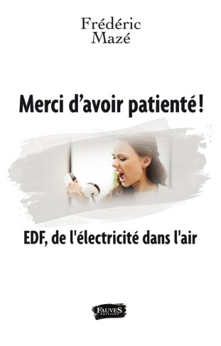 Merci d'avoir patienté ! EDF, de l'électricité dans l'air