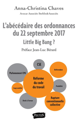 L'abécédaire des ordonnances du 22 septembre 2017. Little Big Bang ?