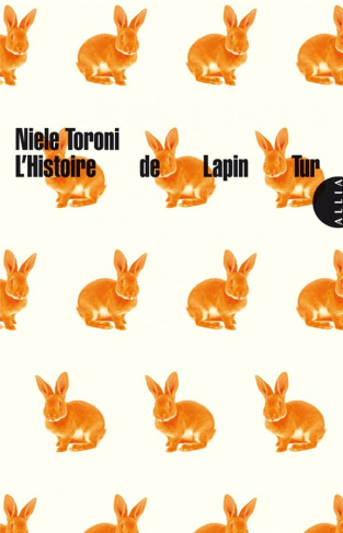 L'Histoire de Lapin Tur. Suivi de L'Histoire de la couleur