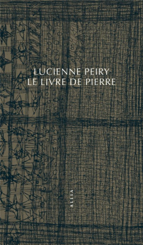 LE LIVRE DE PIERRE