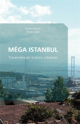 Méga Istanbul. Traversées en lisières urbaines