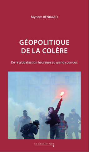 Géopolitique de la colère. De la globalisation heureuse au grand courroux, 2e édition revue et corri