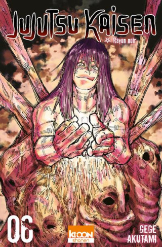 Jujutsu Kaisen Tome 6 : Rayon noir