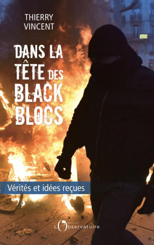 Dans le tête des Black blocs. Vérités et idées reçues