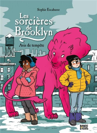 Les sorcières de Brooklyn Tome 2 : Avis de tempête