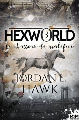 Hexworld Tome 3 : Le chasseur de maléfice