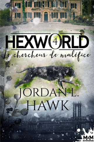 Hexworld Tome 4 : Le chercheur de maléfice