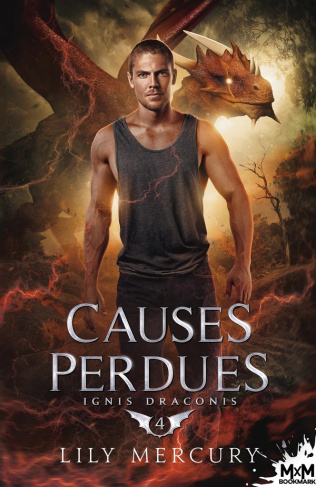 Ignis Draconis Tome 4 : Causes perdues
