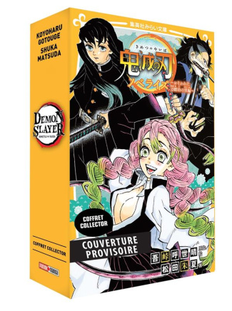 Demon Slayer : Coffret collector Tome 9   Roman jeunesse Tome 4