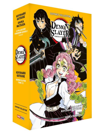 Demon Slayer : Coffret collector Tome 12   Roman jeunesse Tome 5
