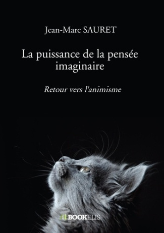 La puissance de la pensée imaginaire. Retour vers l'animisme