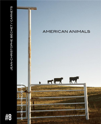 Carnets. Volume 8, American Animals