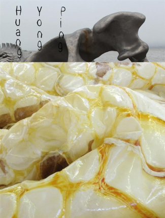 Huang Yong Ping. Edition bilingue français-anglais