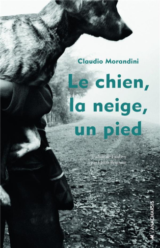 Le chien,la neige,un pied