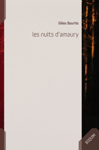 Les nuits d'Amaury