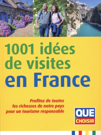 1001 idées de visites en France. Profitez de toutes les richesses de notre pays pour un tourisme res