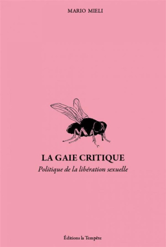 La gaie critique. Politique et libération sexuelle dans les années soixante-dix. Ecrits (1972-1983)