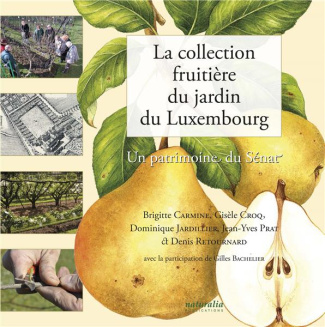 La collection fruitière du jardin du Luxembourg. Un patrimoine du Sénat