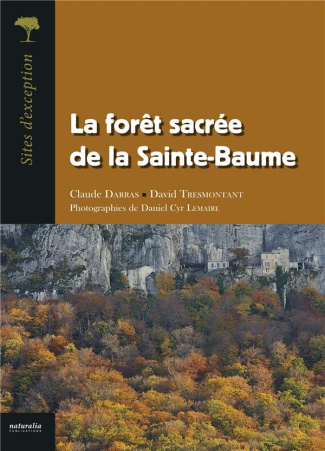 La forêt sacrée de la Sainte-Baume