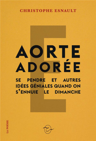Aorte adorée (Se pendre et autres idées géniales quand on s’ennuie le dimanche)
