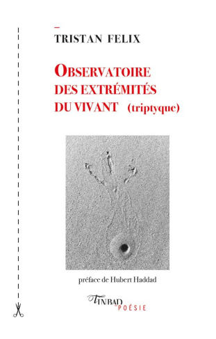 Observatoire des extrémités du vivant. Triptyque